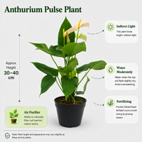 The Plantor