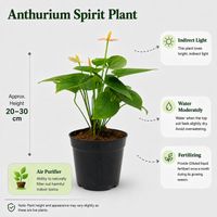 The Plantor