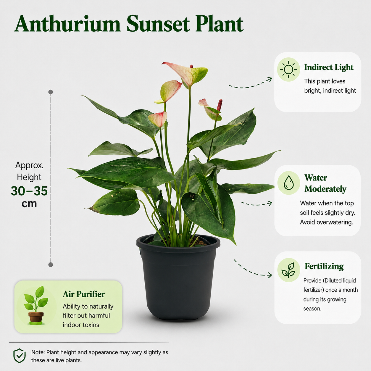 The Plantor