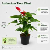 The Plantor