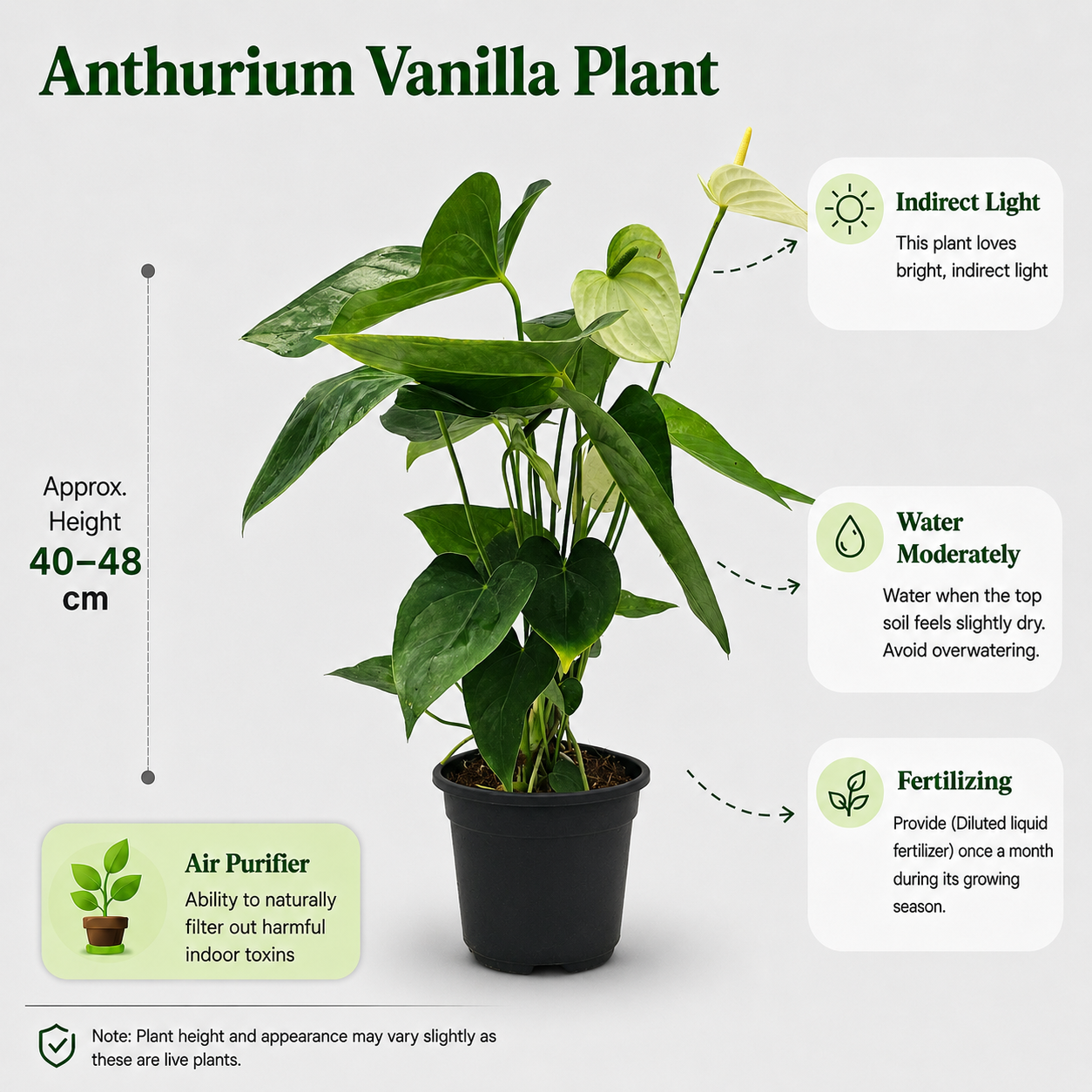 The Plantor