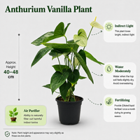 The Plantor
