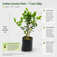 The Plantor