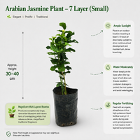 The Plantor