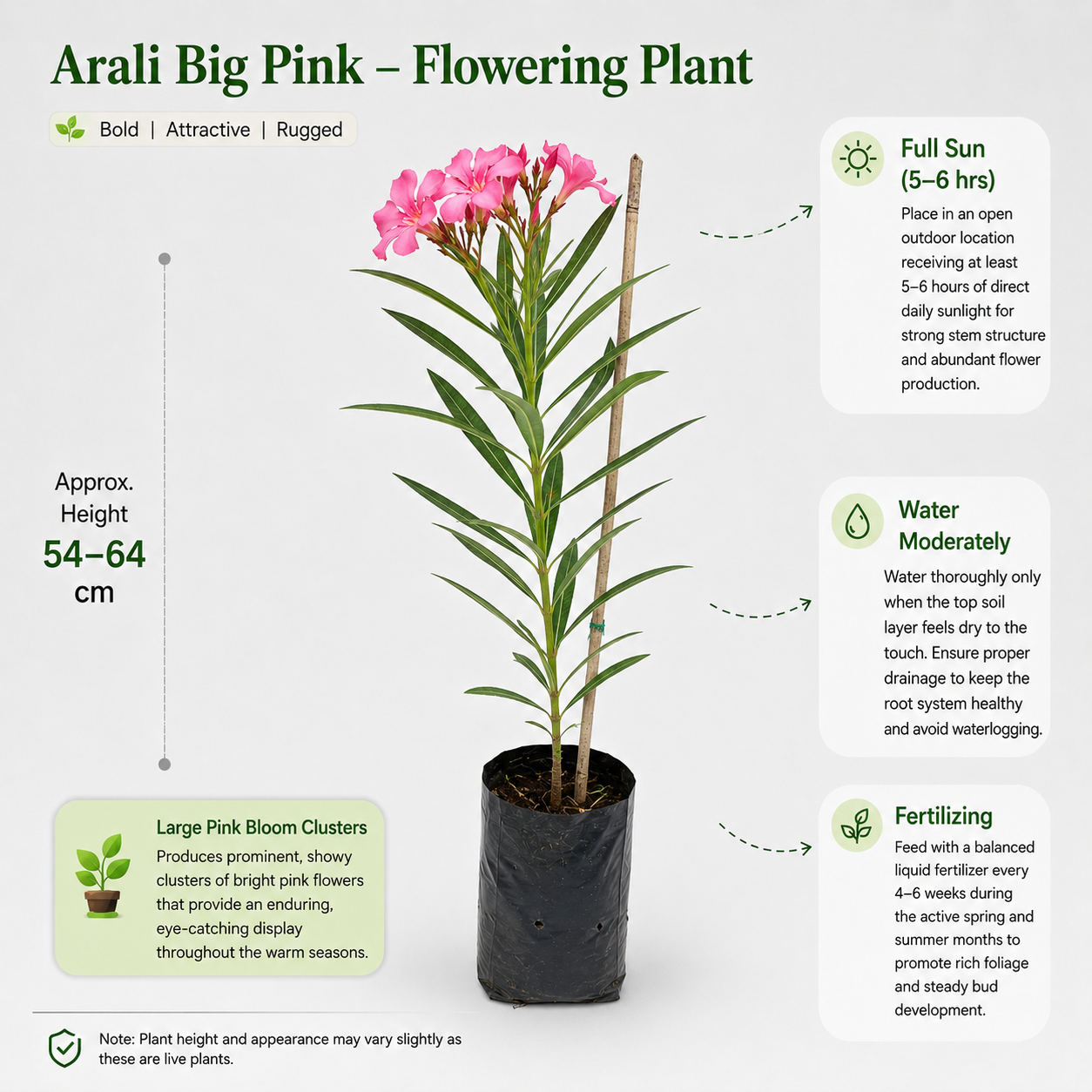 The Plantor