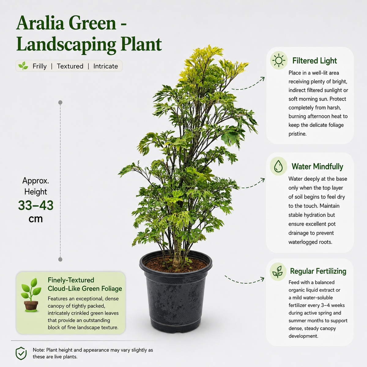 The Plantor