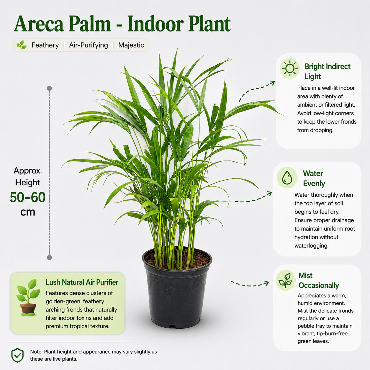 The Plantor