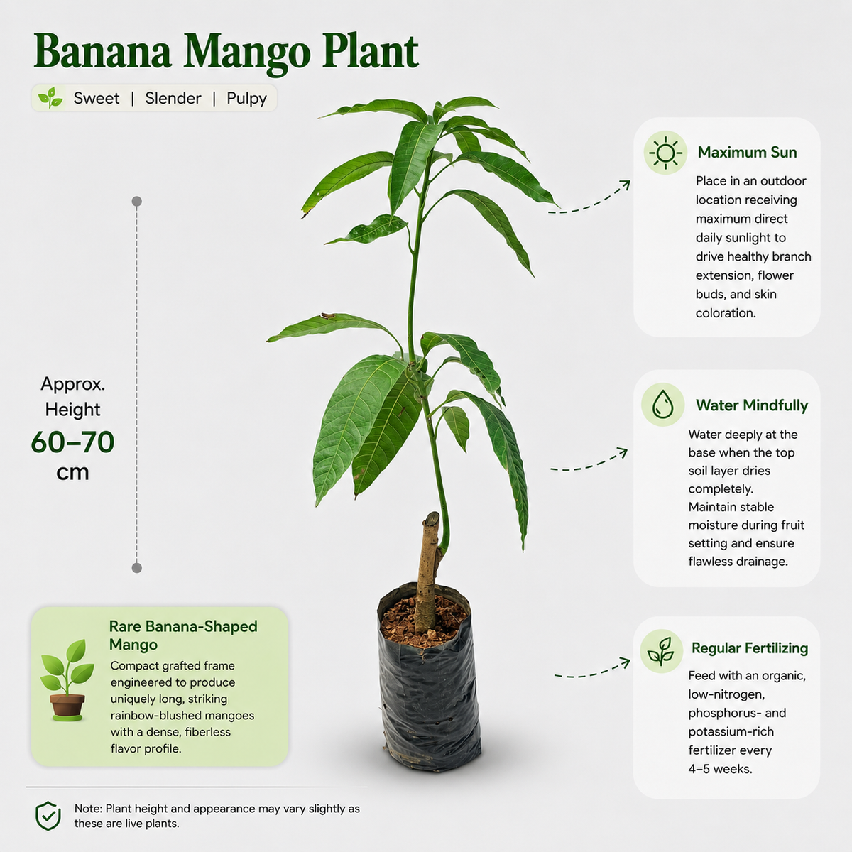 The Plantor