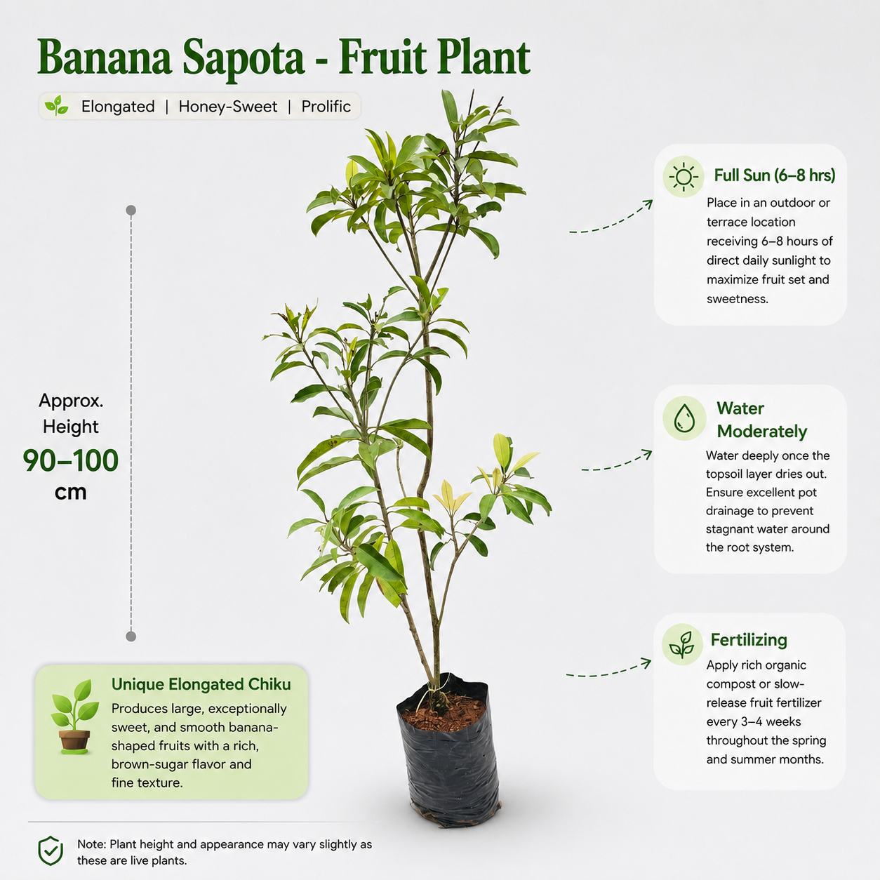 The Plantor