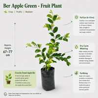 The Plantor