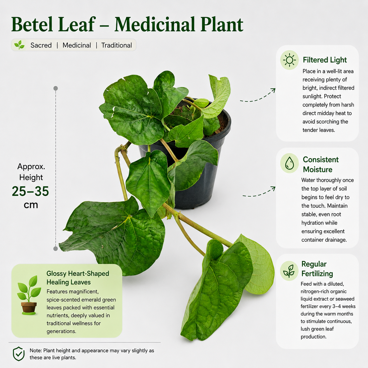 The Plantor