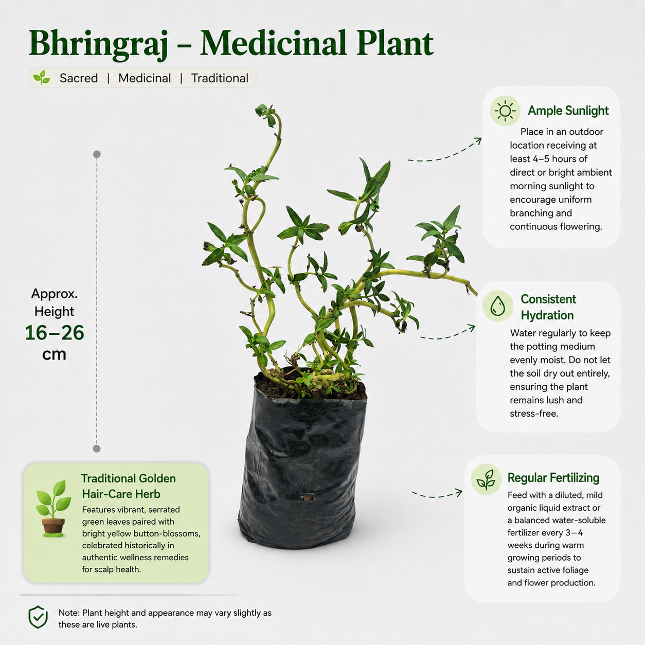 The Plantor