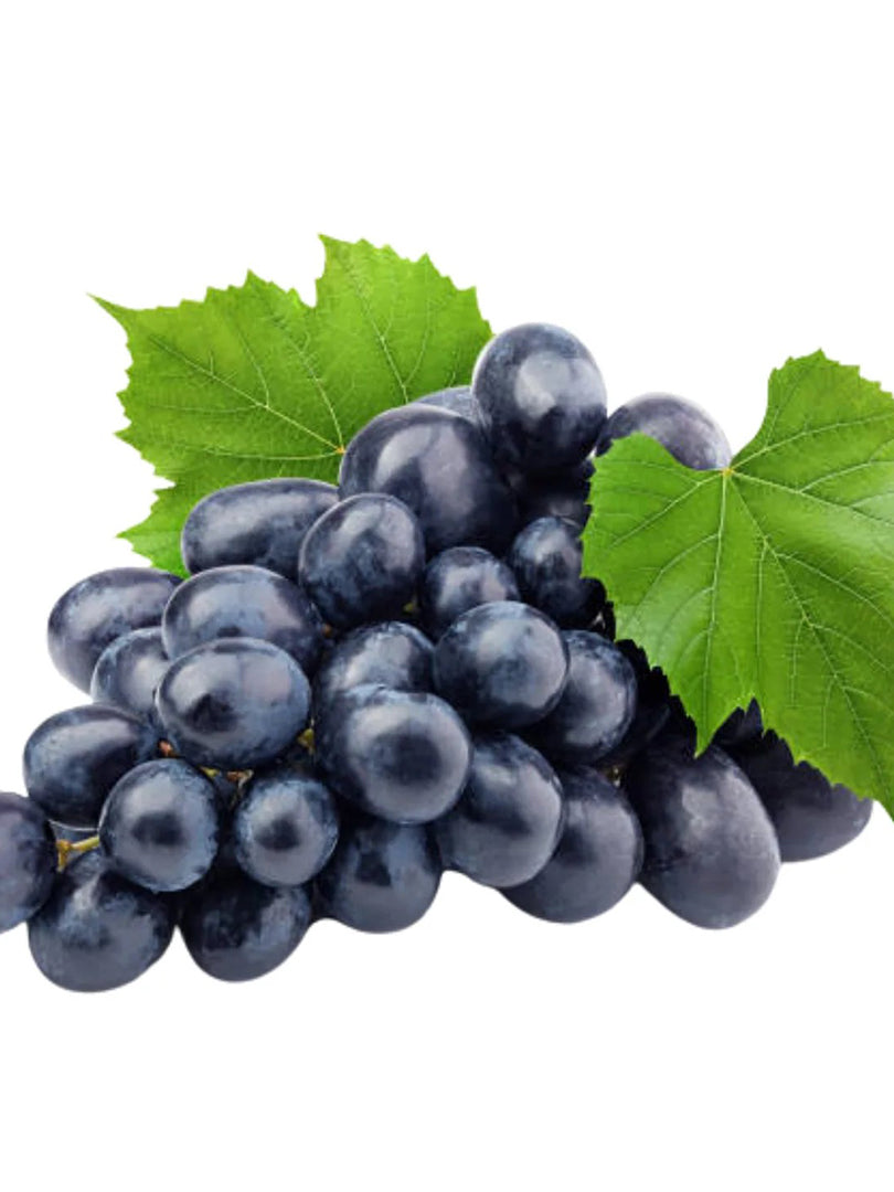 Grape (Black) - Fruit Plant