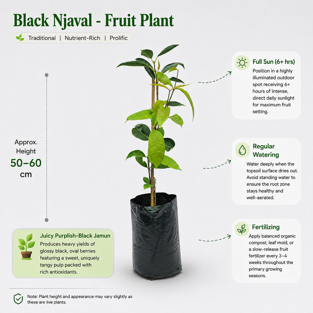 The Plantor