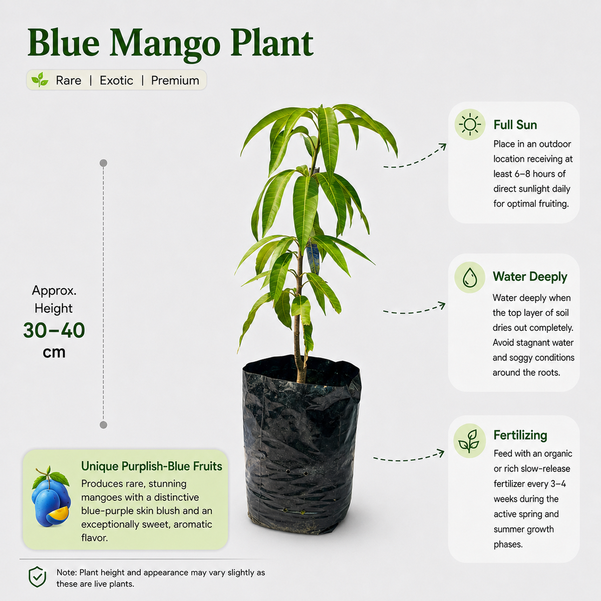 The Plantor