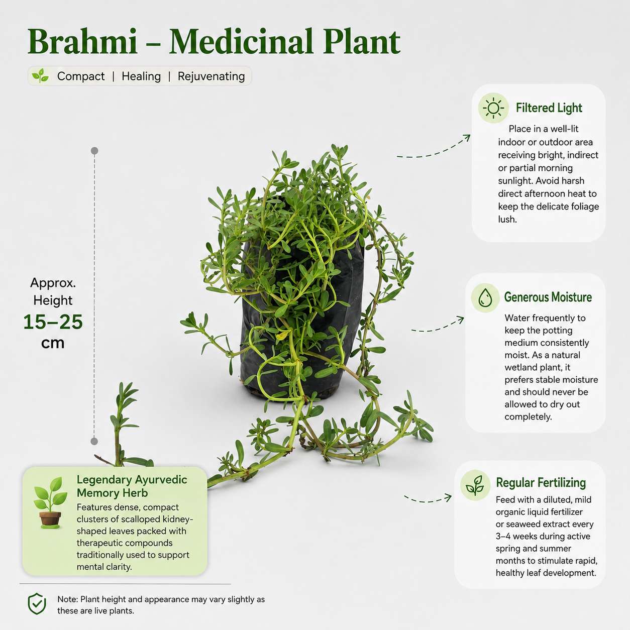 The Plantor