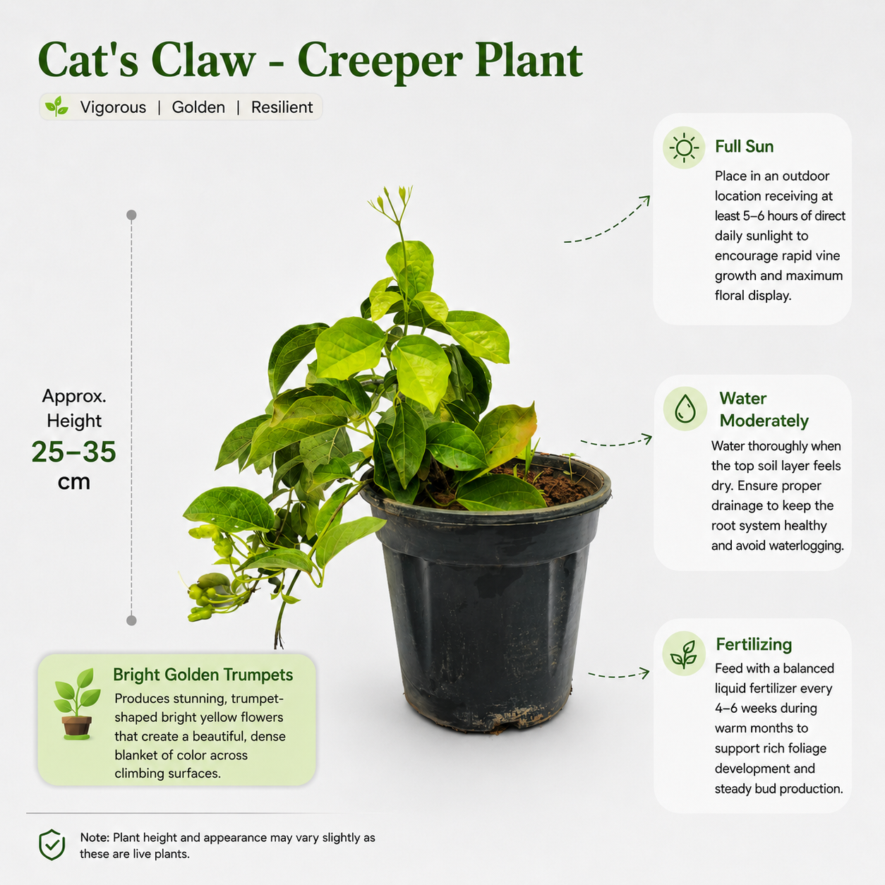 The Plantor