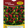 Celosia Cristata Coral Seeds