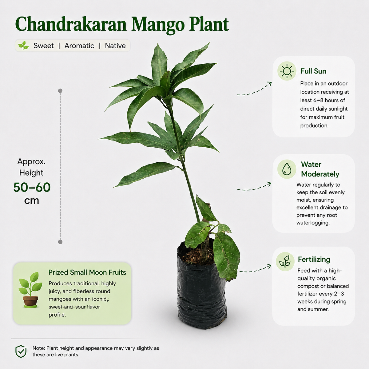 The Plantor