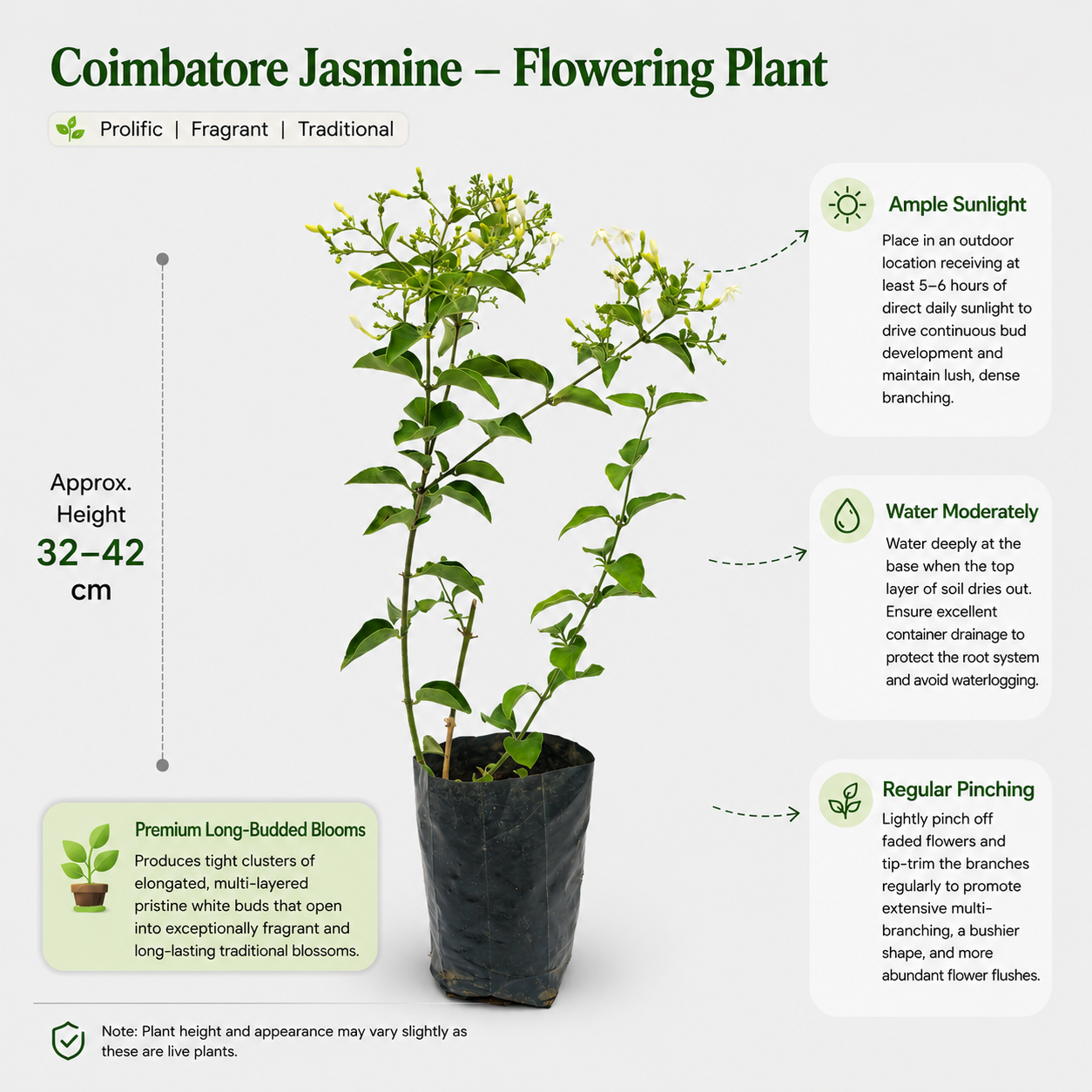 The Plantor