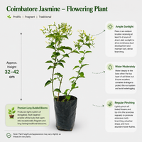 The Plantor