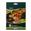 Coleus Wizard Mix Seeds