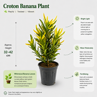 The Plantor