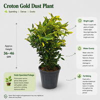 The Plantor