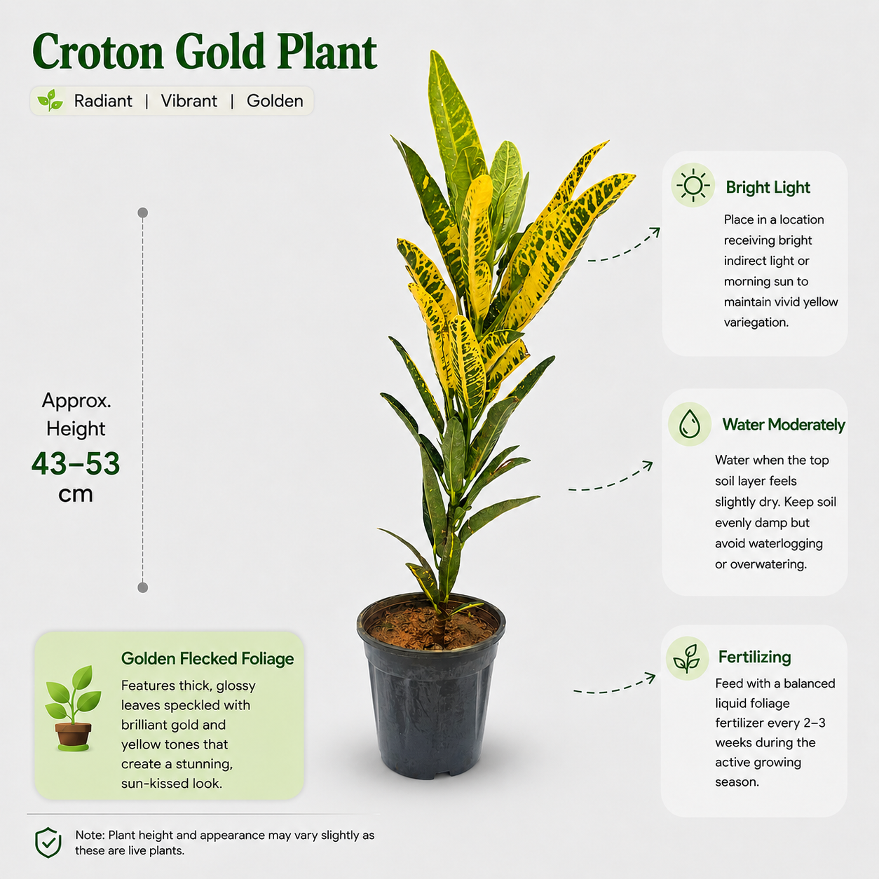 The Plantor