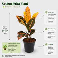 The Plantor