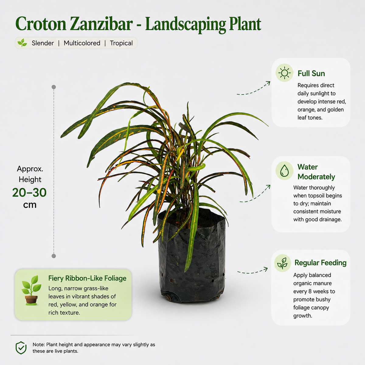 The Plantor