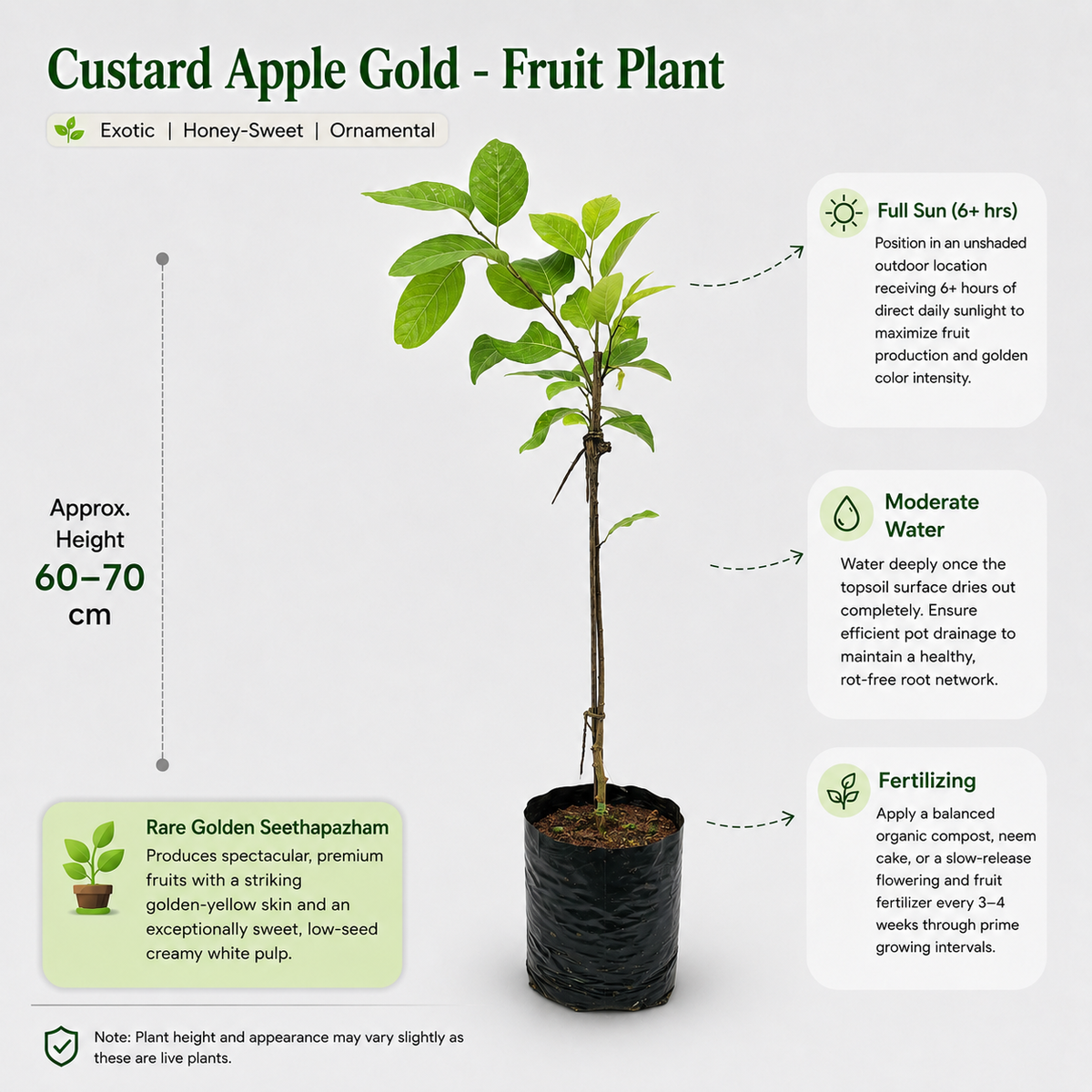 The Plantor