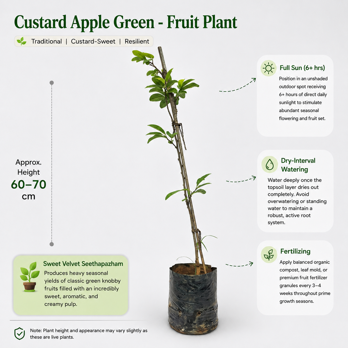 The Plantor