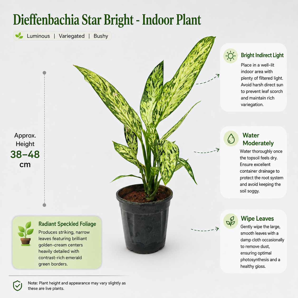 The Plantor