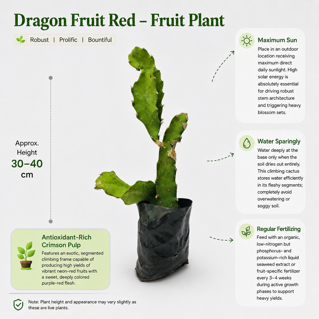 The Plantor