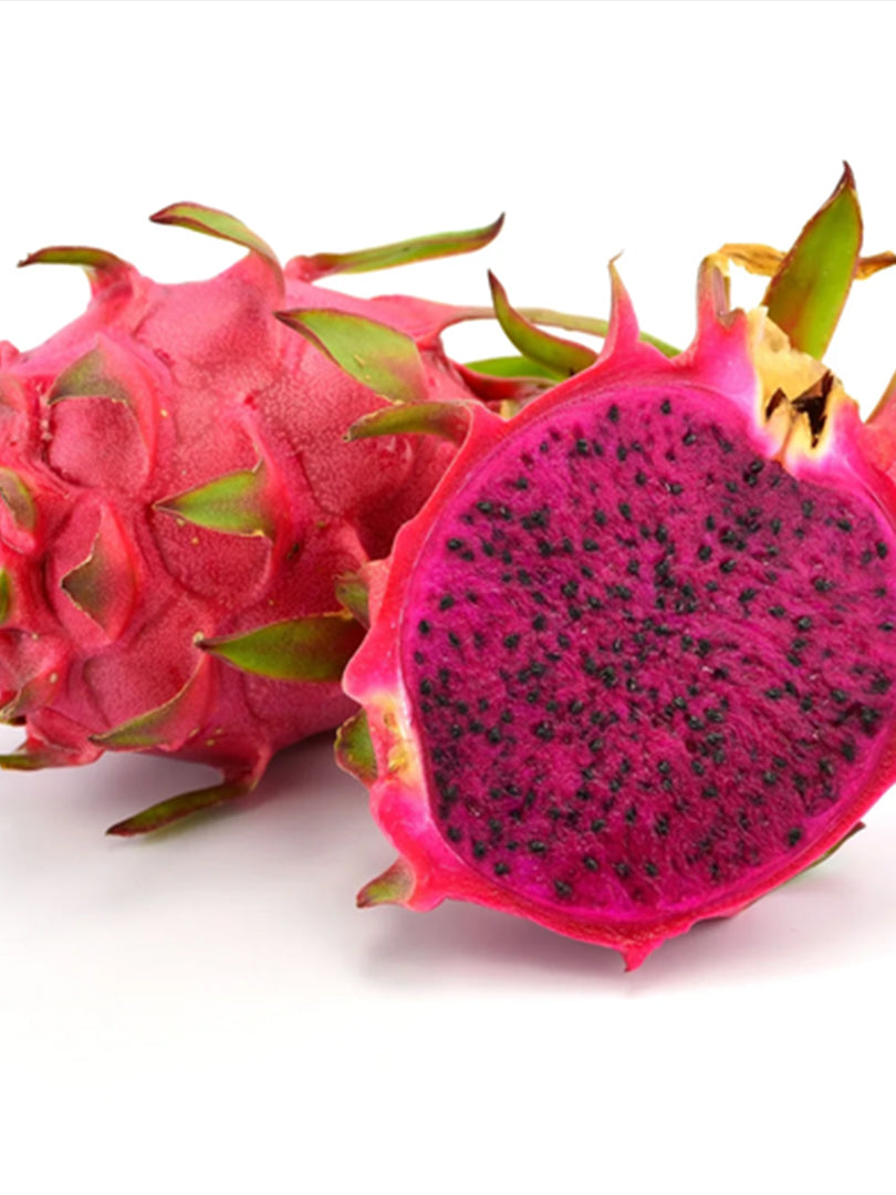 Dragon Fruit Red - Fruit Plant