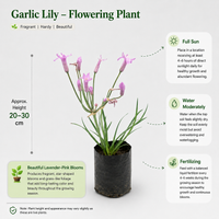The Plantor