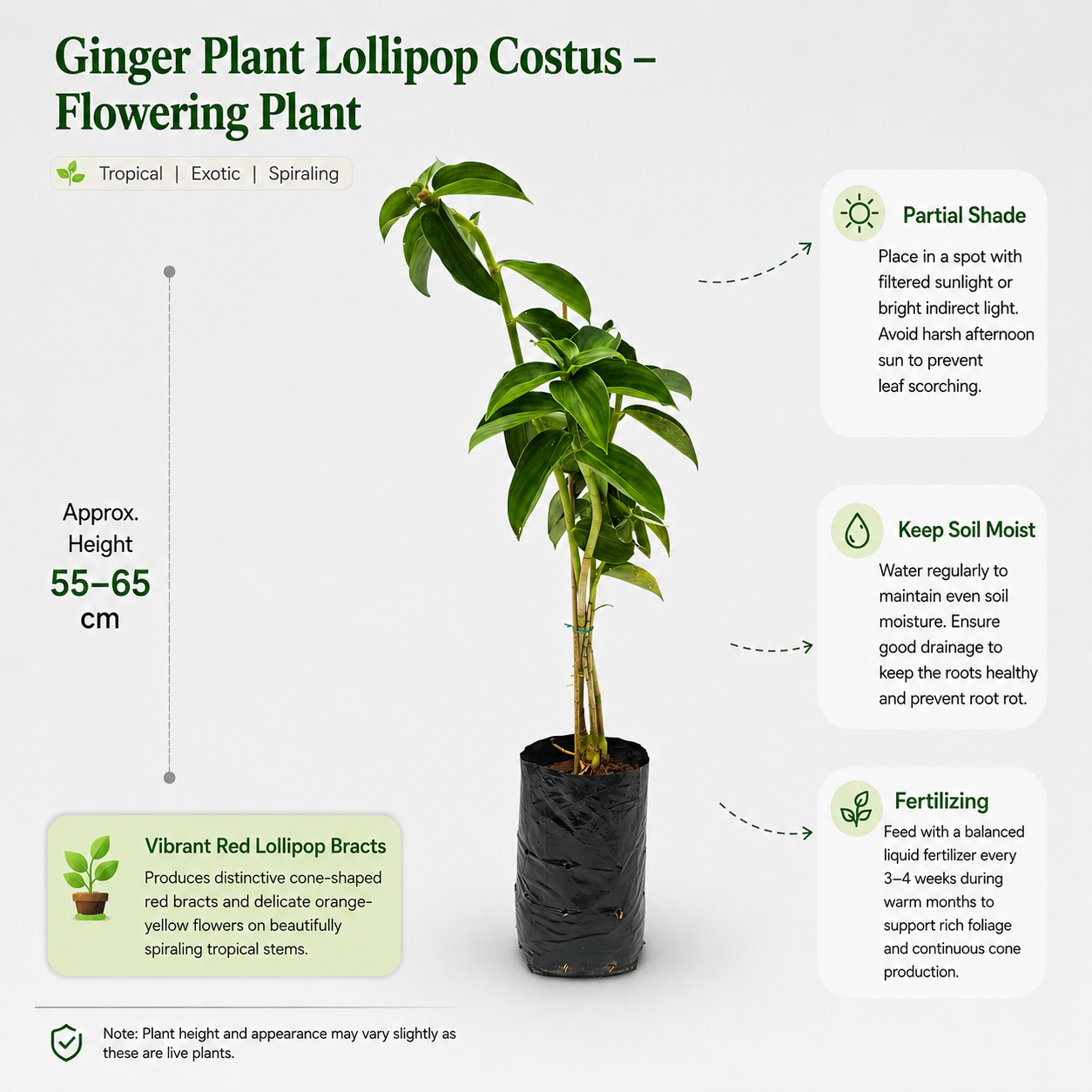 The Plantor