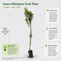 The Plantor