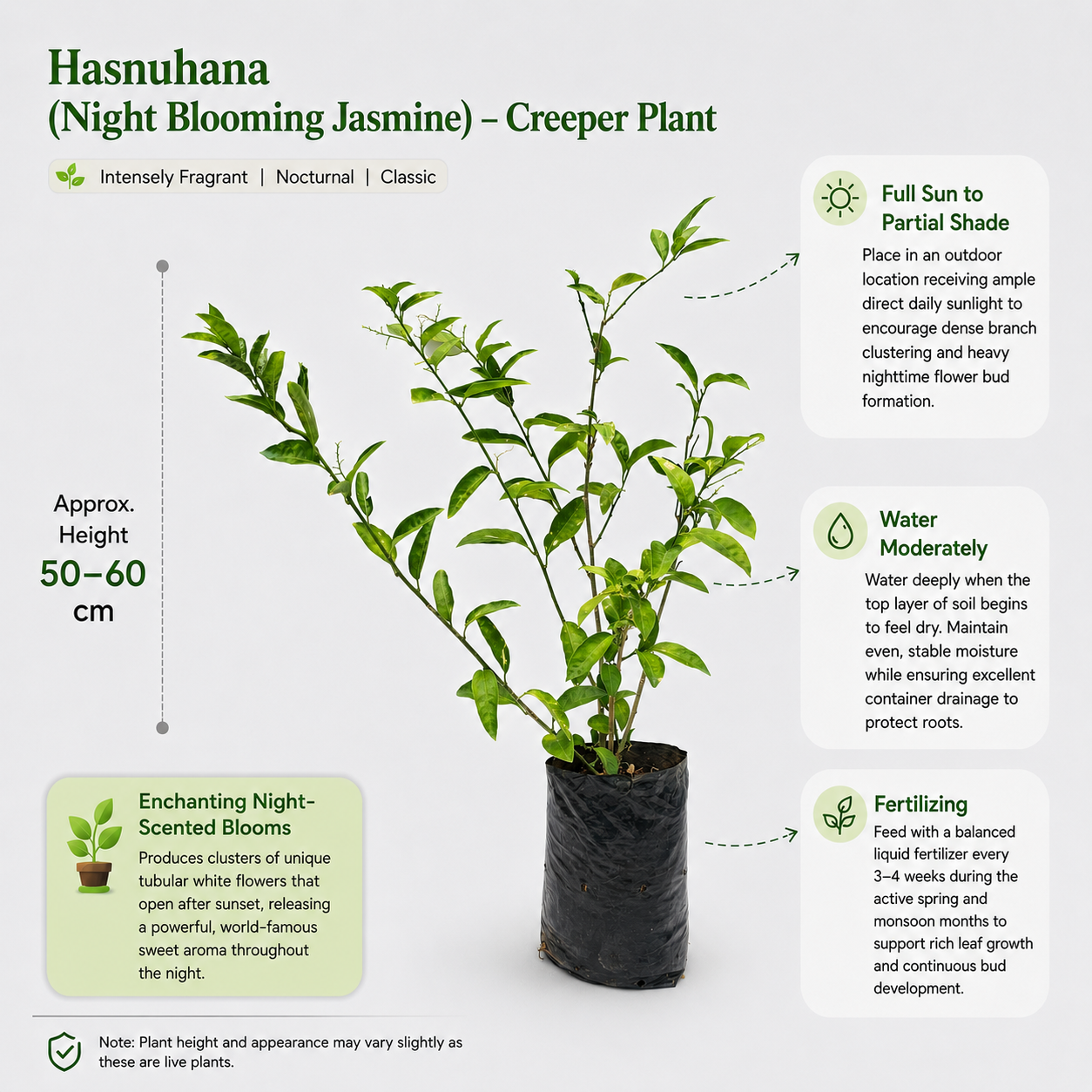 The Plantor