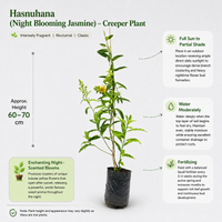 The Plantor