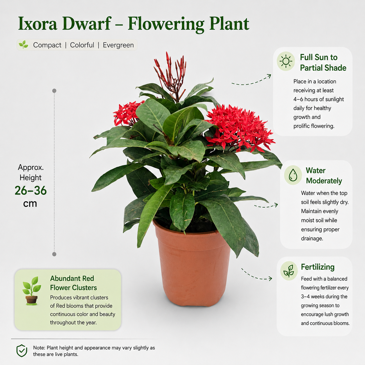 The Plantor