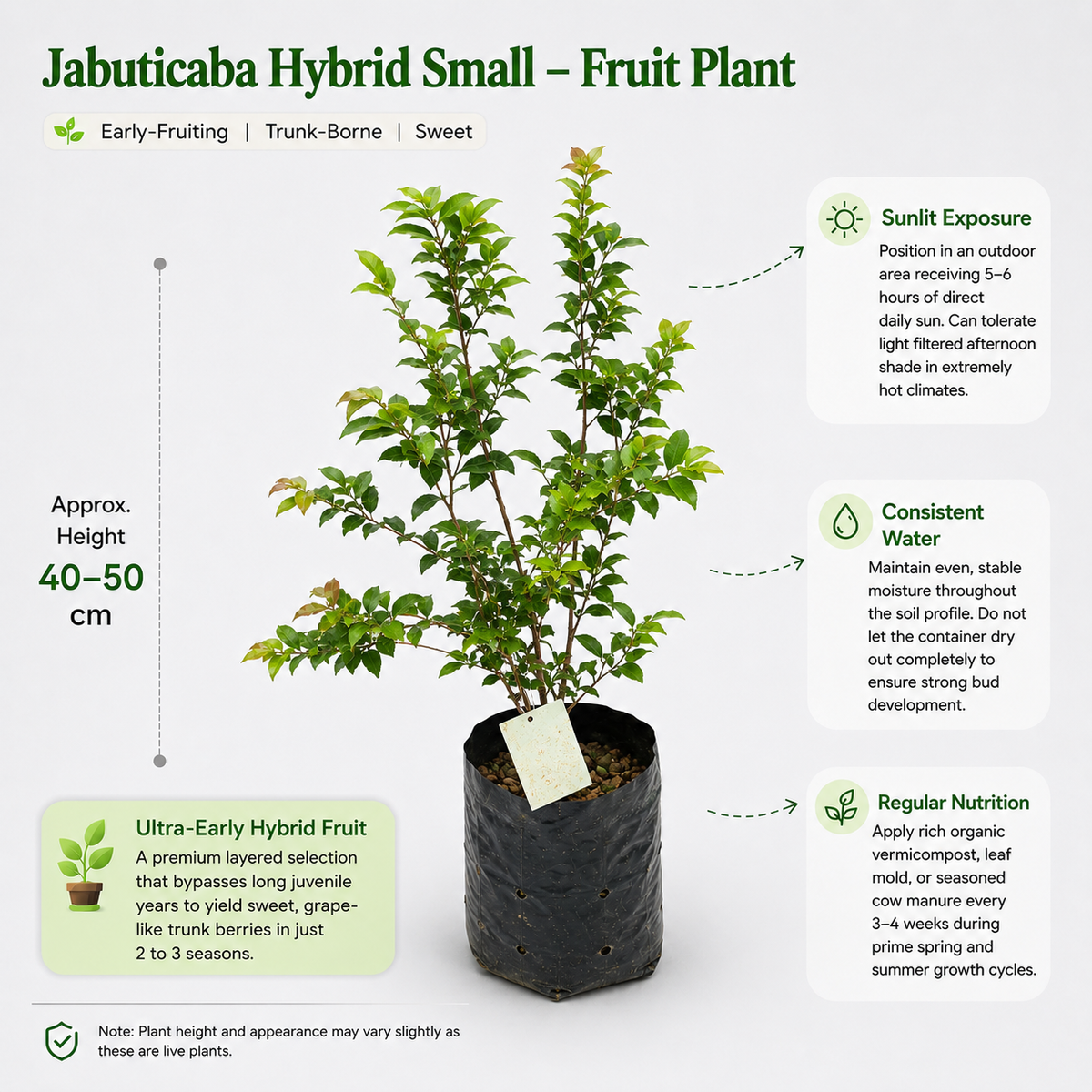 The Plantor