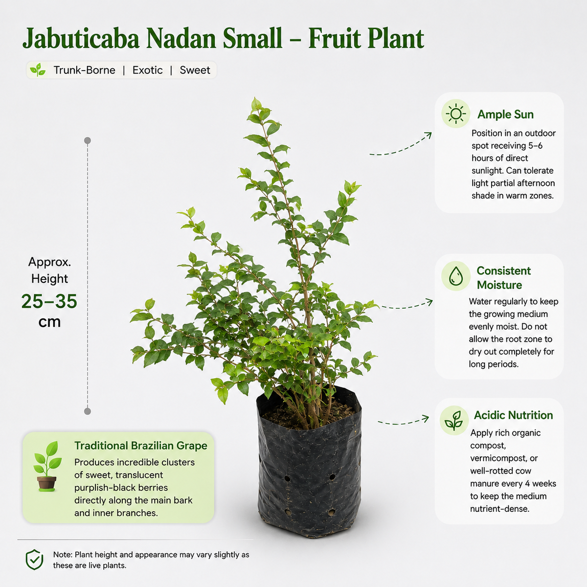 The Plantor