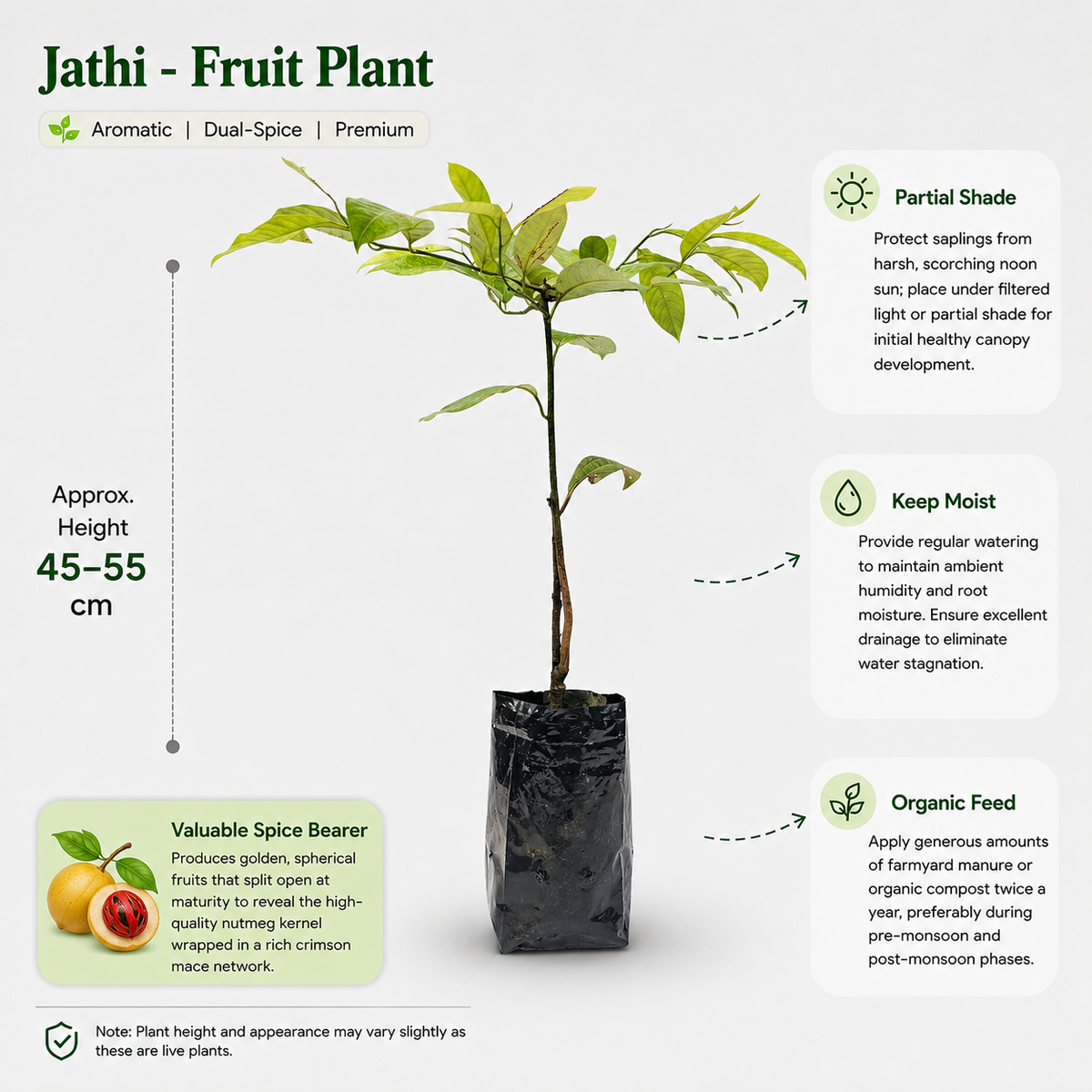 The Plantor