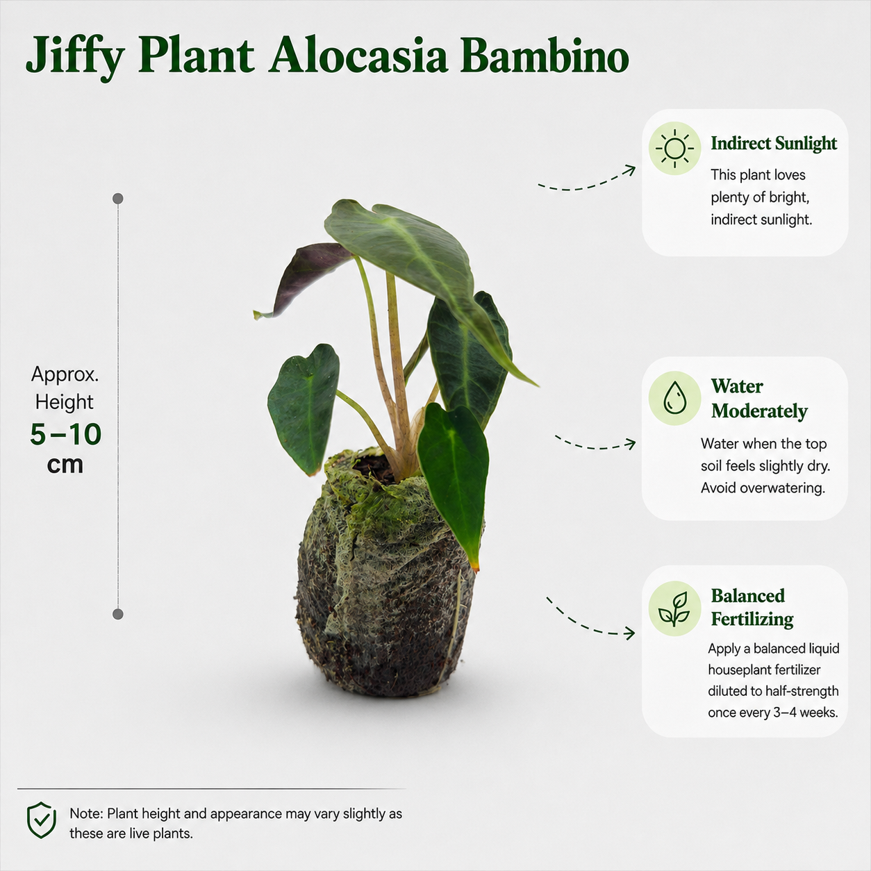 The Plantor