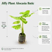 The Plantor