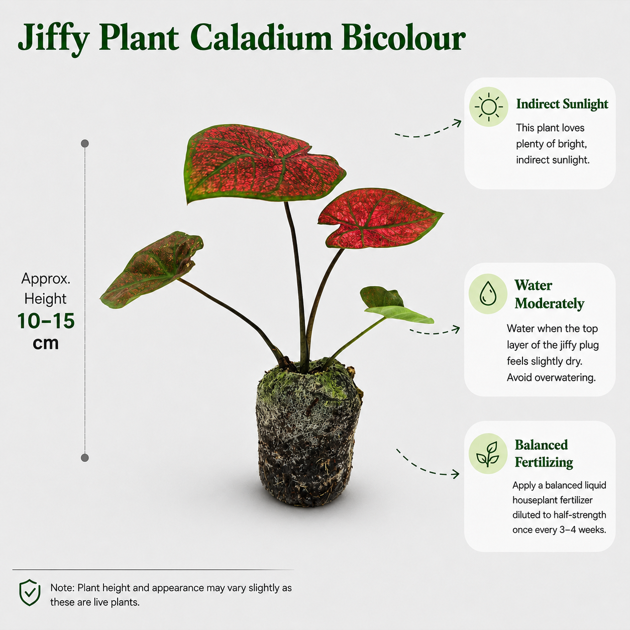 The Plantor