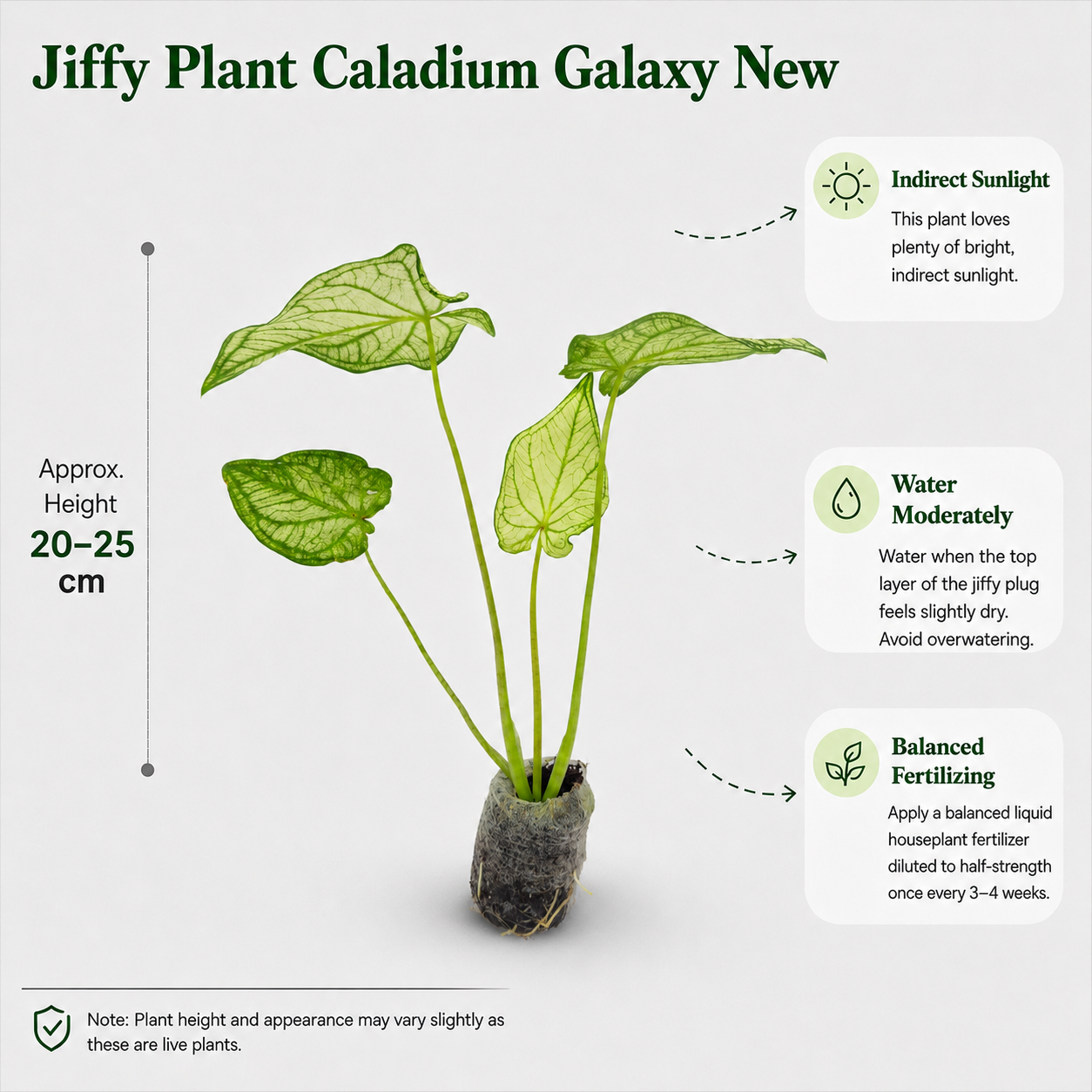 The Plantor