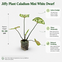 The Plantor